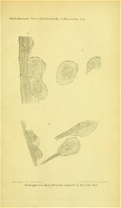 n166_w1150