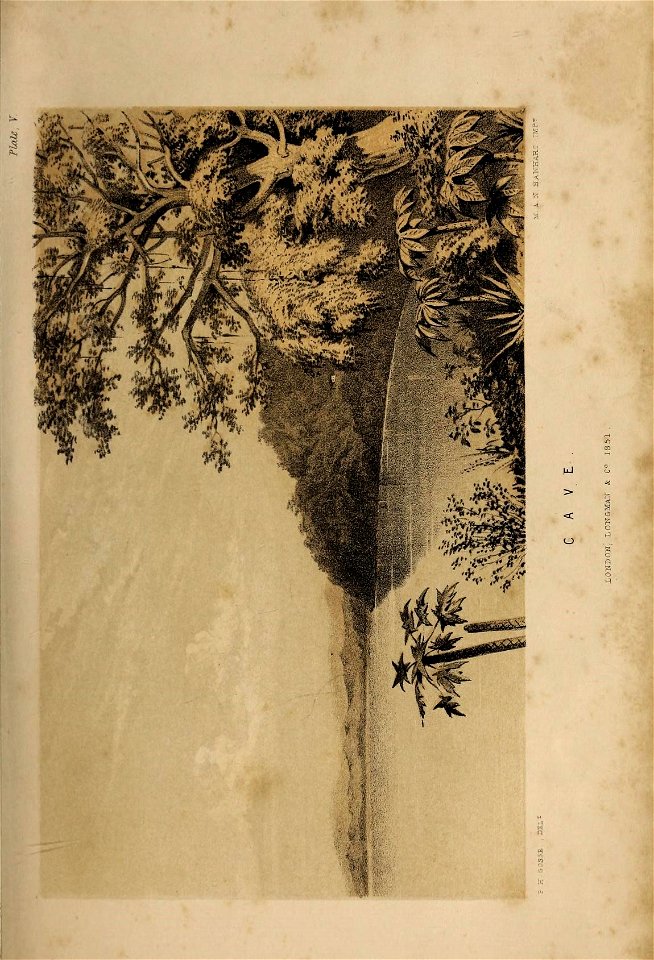 n250_w1150