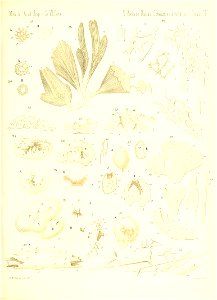 n612_w1150