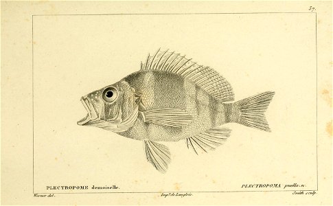 n60_w1150