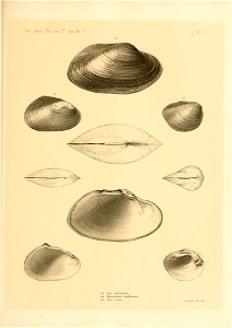 n508_w1150