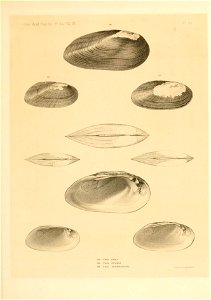 n376_w1150