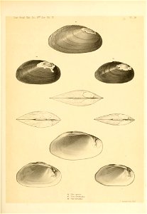 n164_w1150