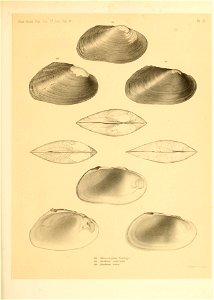 n294_w1150