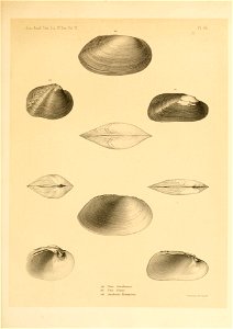 n402_w1150