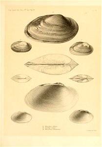 n236_w1150