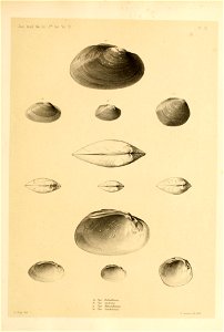 n62_w1150