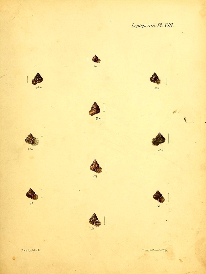 n412_w1150