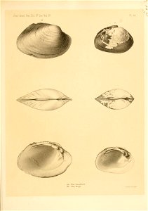 n316_w1150