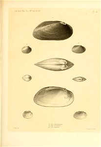 n156_w1150
