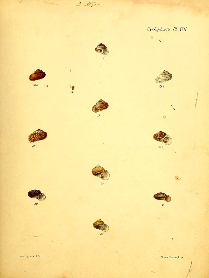 n364_w1150