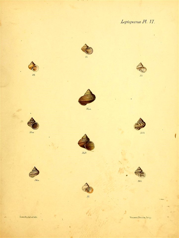 n404_w1150