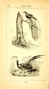 n111_w1150