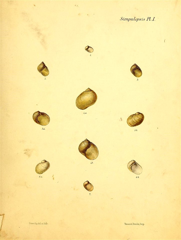 n464_w1150