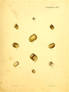 n464_w1150