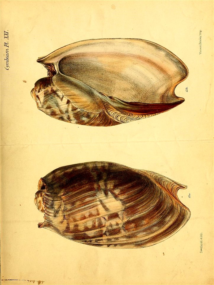 n176_w1150