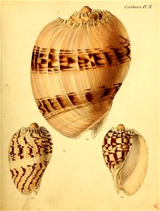 n116_w1150