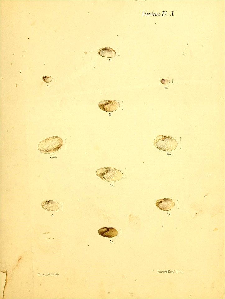 n456_w1150
