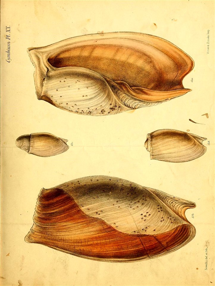 n172_w1150