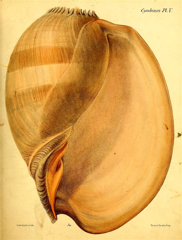n112_w1150