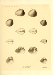 n490_w1150