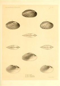 n388_w1150