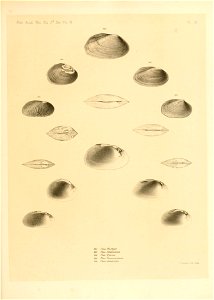 n306_w1150