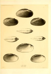 n146_w1150
