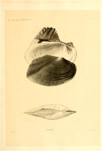 n48_w1150