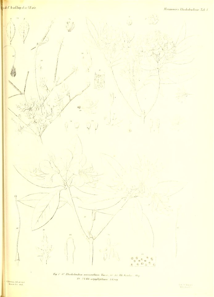 n506_w1150