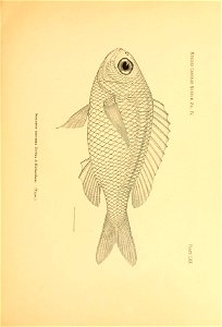 n70_w1150
