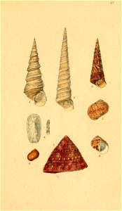 n576_w1150