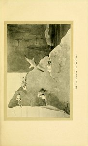 n114_w1150