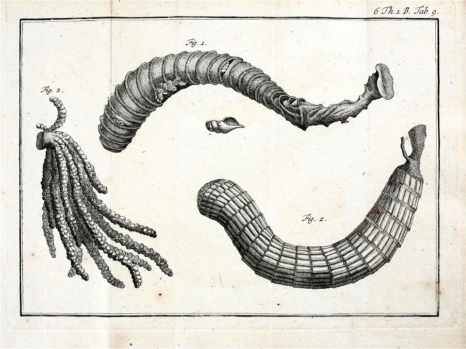 n694_w1150