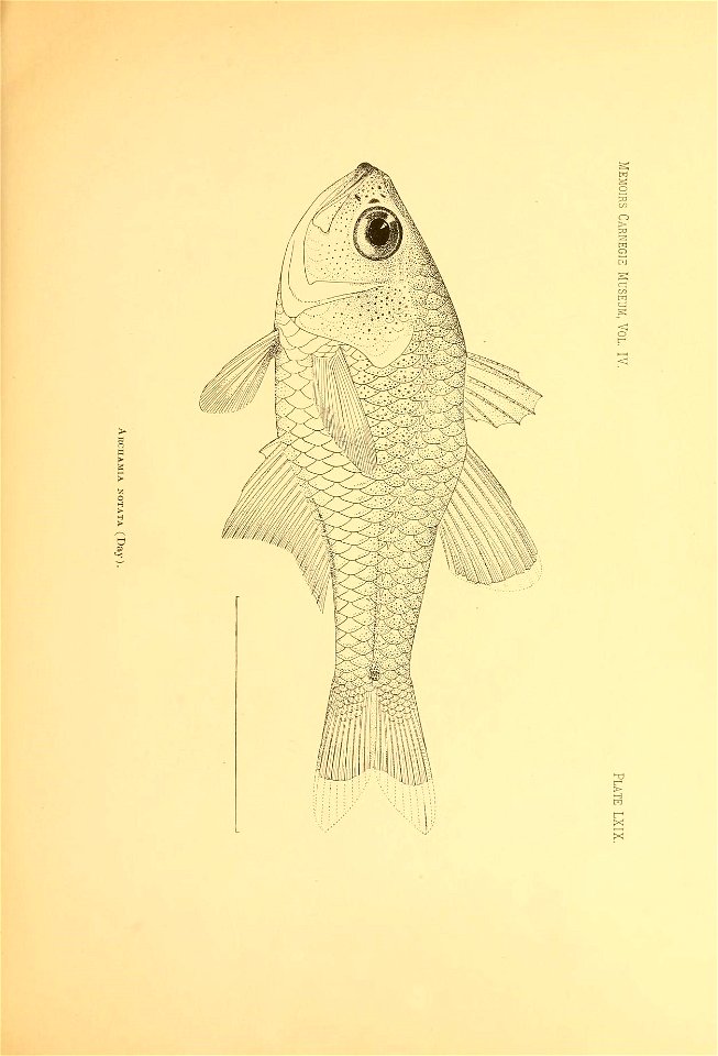 n68_w1150