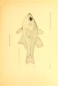 n68_w1150