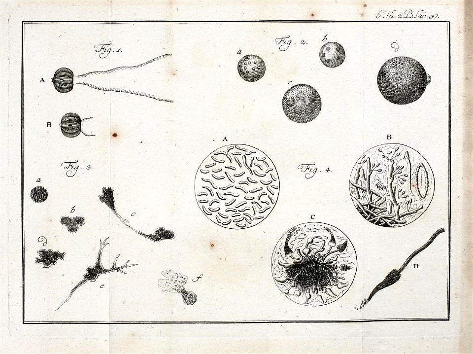 n522_w1150