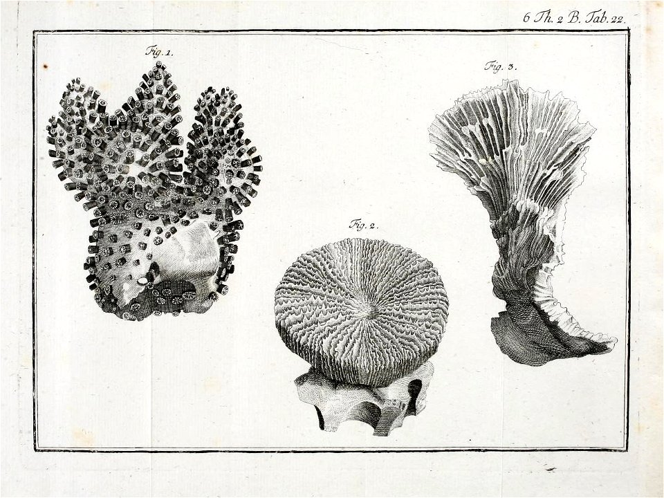 n462_w1150