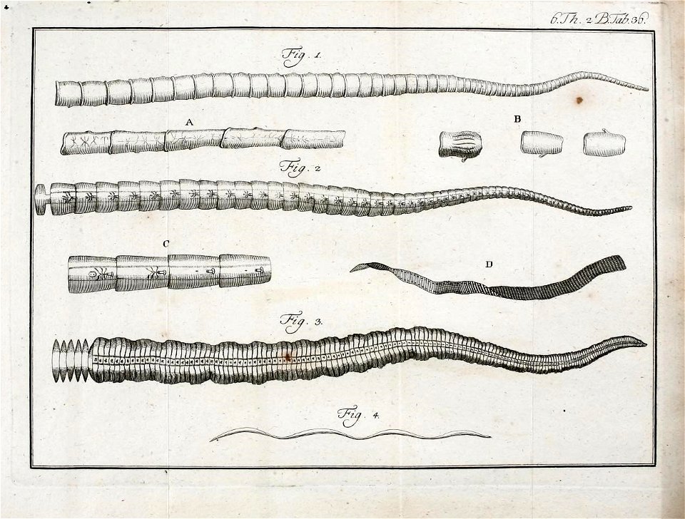n518_w1150