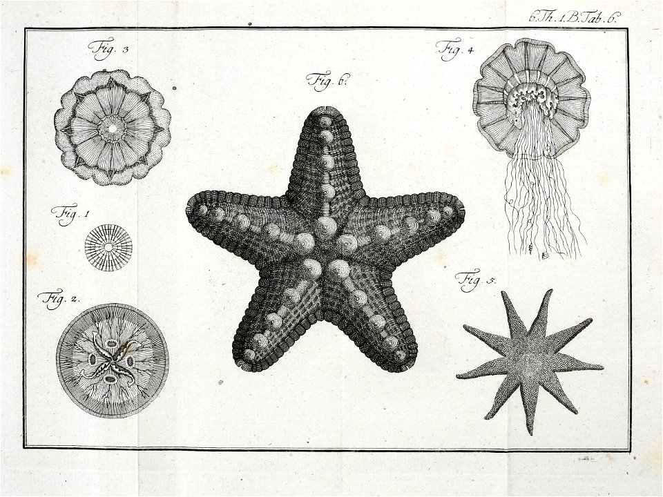 n682_w1150