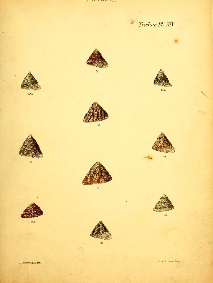 n554_w1150