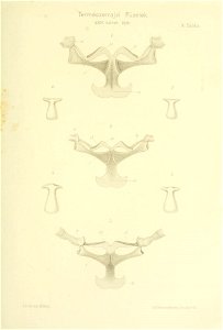 n296_w1150