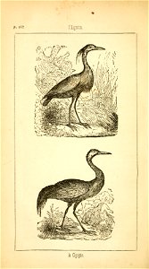 n167_w1150