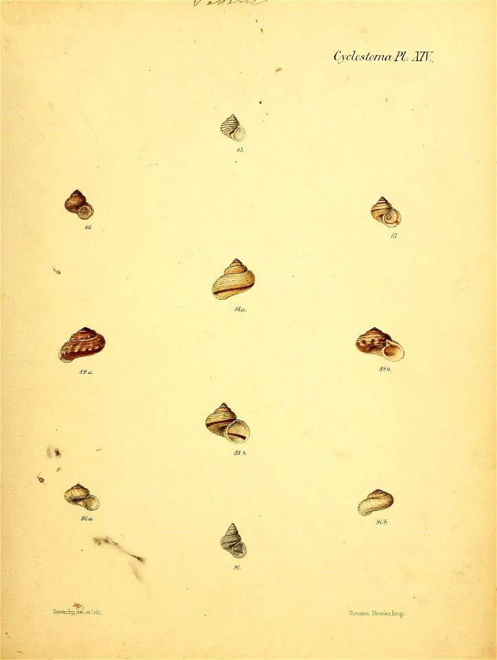 n256_w1150