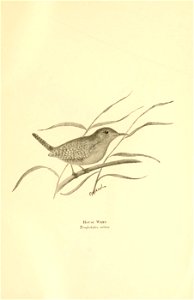 n54_w1150