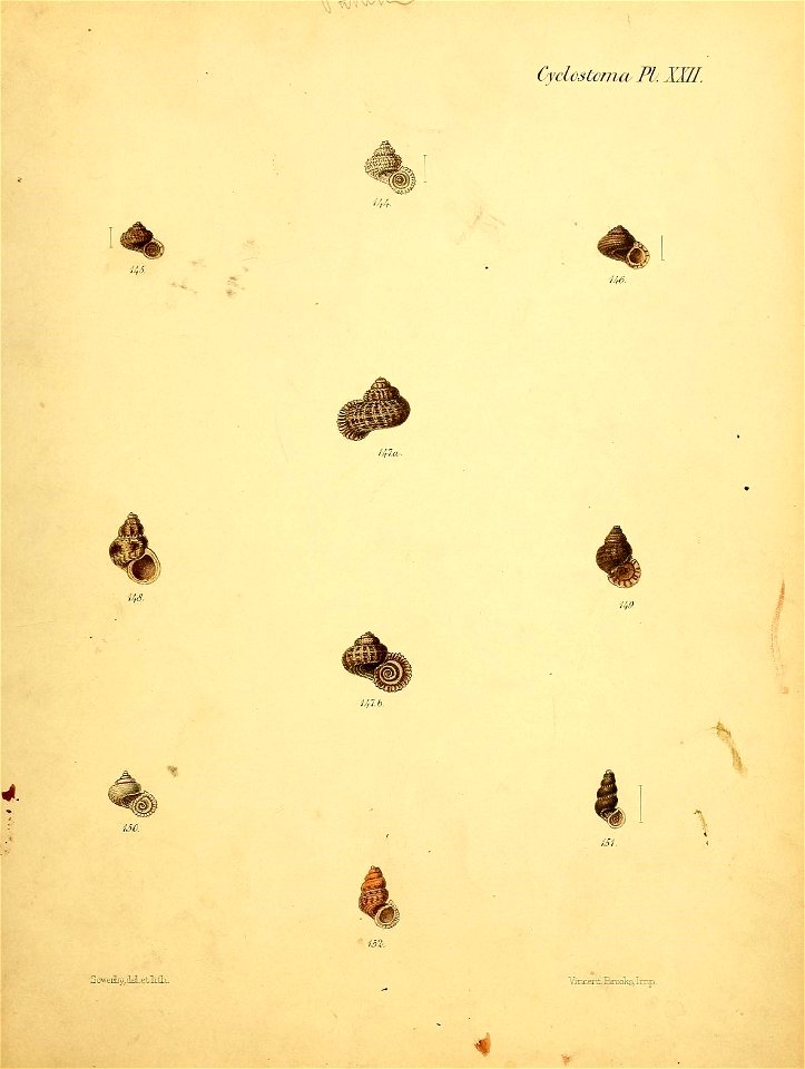 n288_w1150
