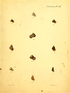 n288_w1150