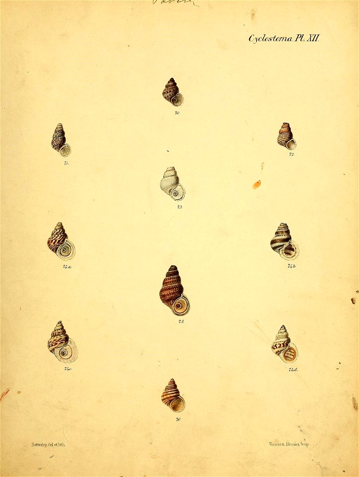 n248_w1150
