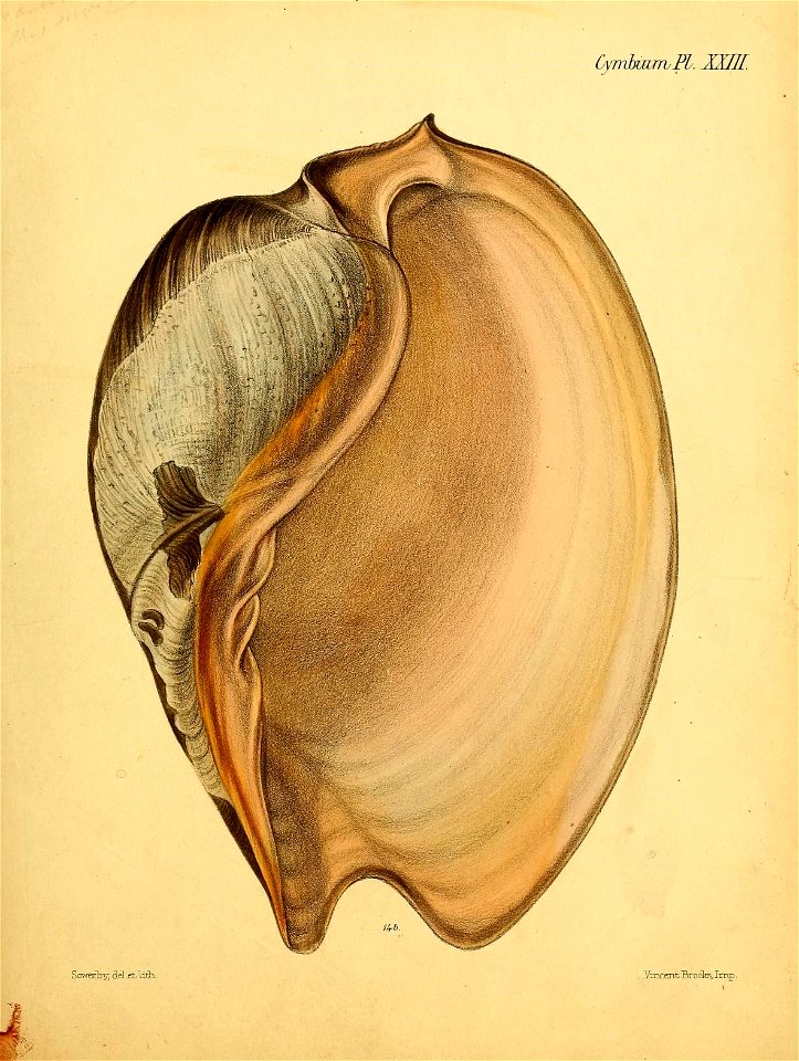 n184_w1150