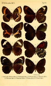 n450_w1150